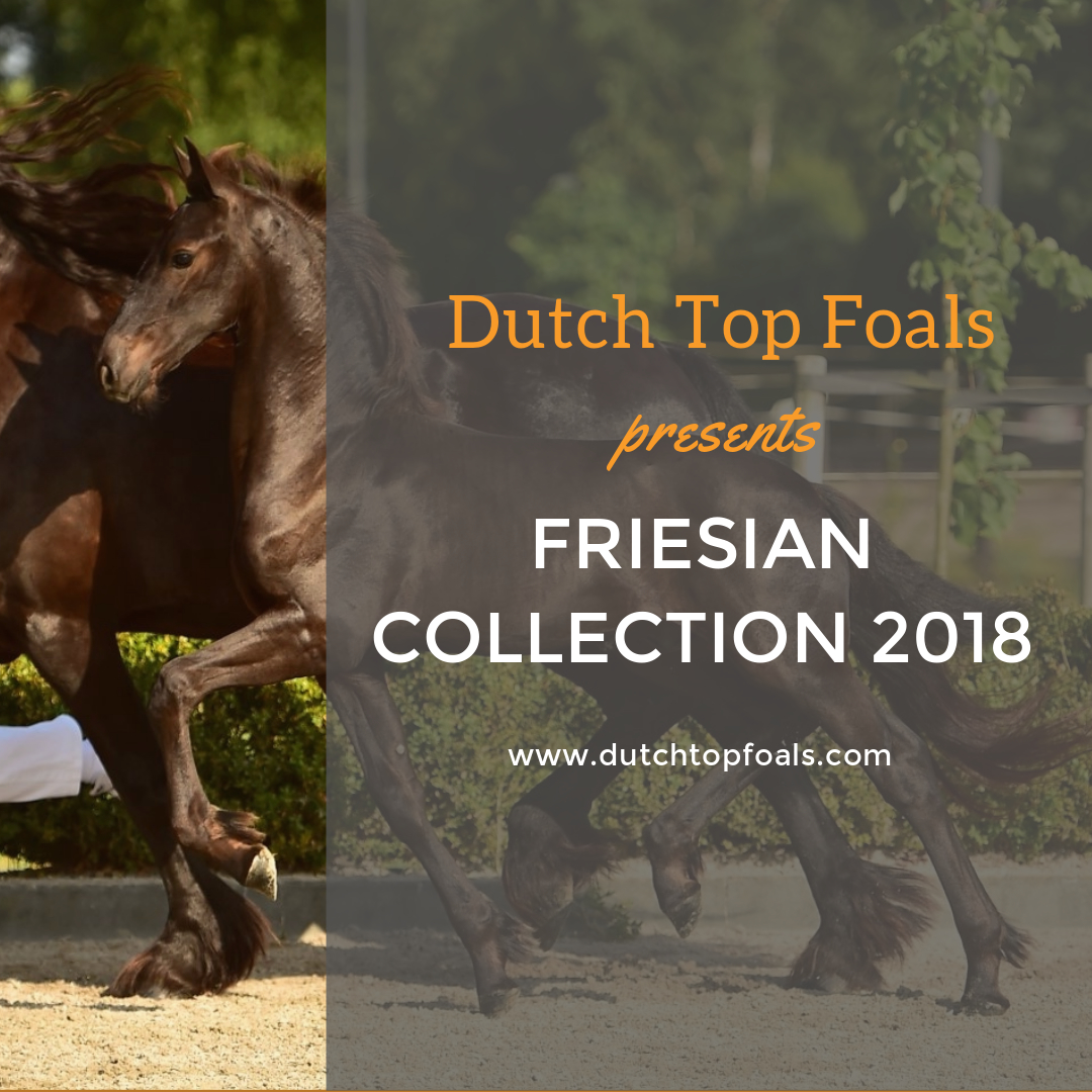 friesiancollection2018